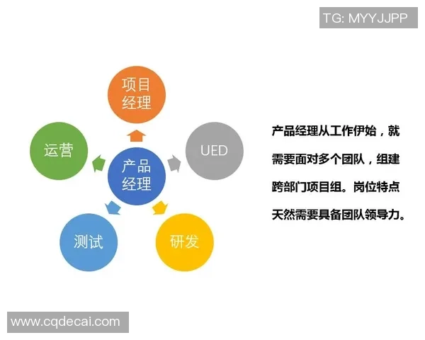 深圳飞盘队团队协作表现分析与提升策略探讨