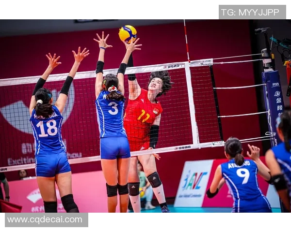 权威发布：2023年排球团队协作实力排行榜全面解析与深度解读